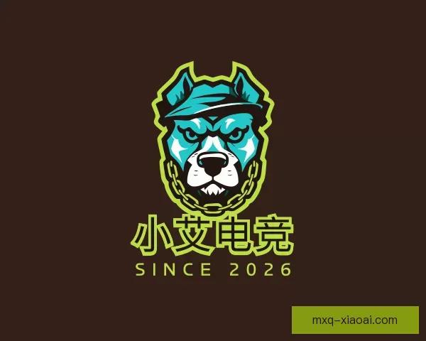 发现小艾电竞